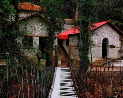 pauliani (1)