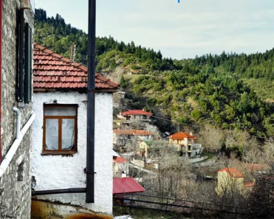 pauliani (4)