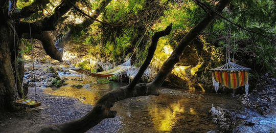 Μονοπάτι πεζοπορίας στην Παύλιανη