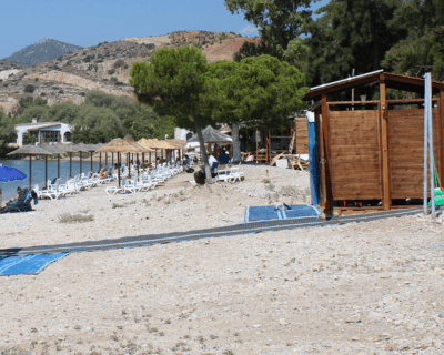 paralia varea (1)