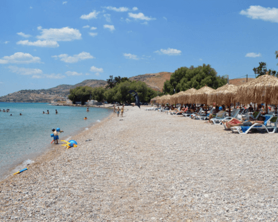 paralia varea